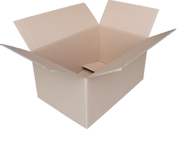 solidariteit piramide Kinderdag Renes Dozenhandel B.V. online webwinkel | Nieuwe en gebruikte kartonnen  dozen & verpakkingsmateriaal